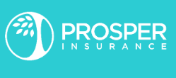 365-Day Availability for Dent Repair Insurance